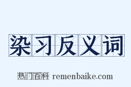 染习反义词是什么意思的图片